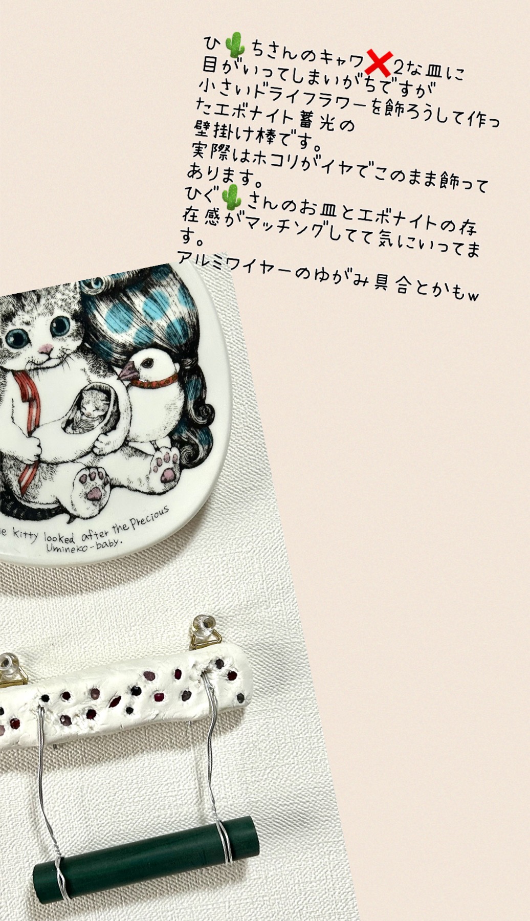 ヒグチユウコさんの猫と文鳥のお皿と蓄光粘土とエボナイトの棒で作ったドライフラワーを飾る為の壁掛け