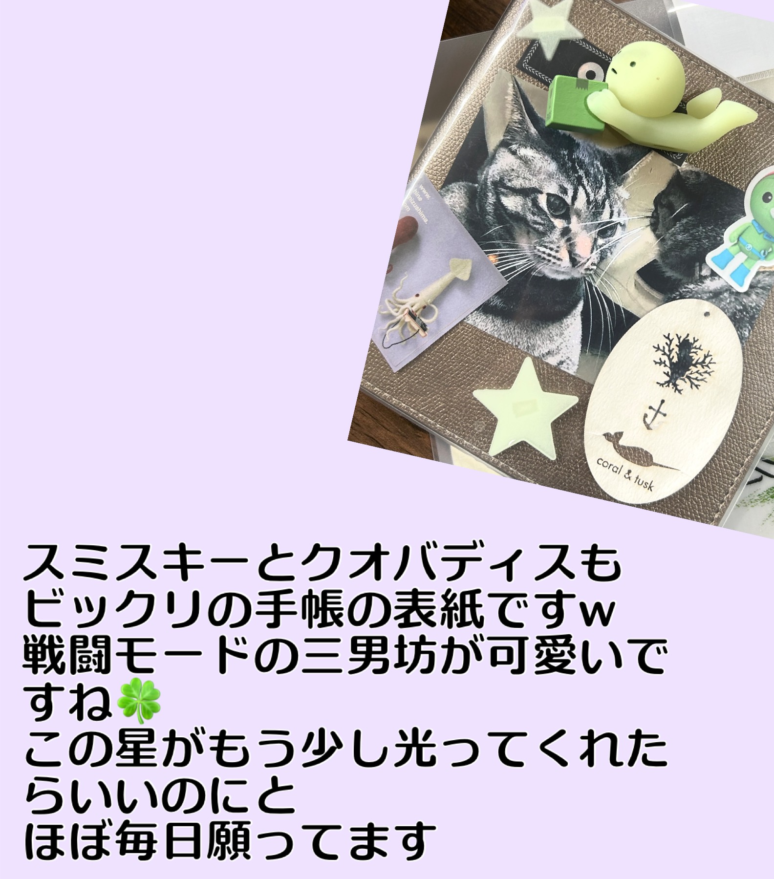 スミスキーとクオバディス手帳の珊瑚の戦い挑む顔がたまらん。
水島ヒネさんのステッカーも大好き