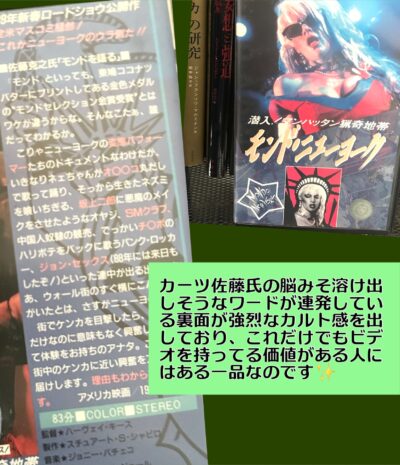 モンドニューヨークのビデオの裏側のライナーノーツ的な？脳が溶けちゃいそうな紹介文