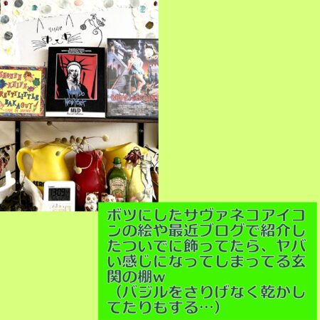 モンドニューヨークのdvdがドヤ的に飾ってある玄関の棚
