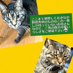 野田秀樹『ミーハー』の写真の少なさをカバーする為のトラ猫三男