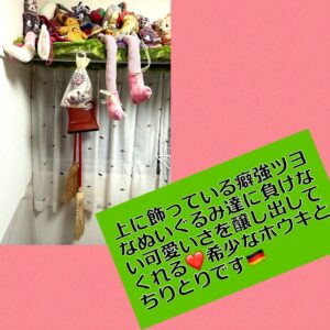 レデッカーのほうきセットがぬいぐるみ達の下に飾られているの図