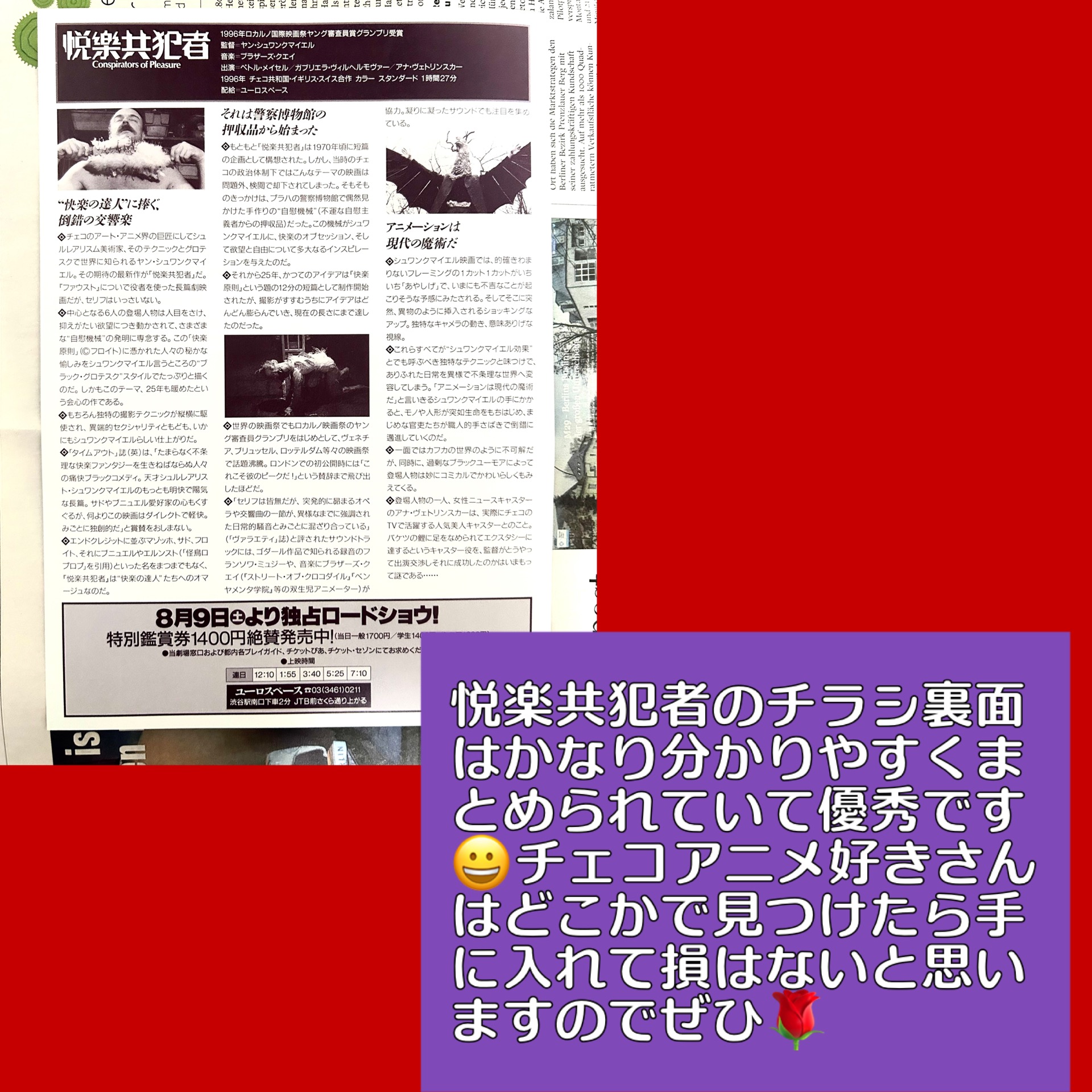 悦楽共犯者のチラシ裏面。シュールな事が分かりやすく書いてある