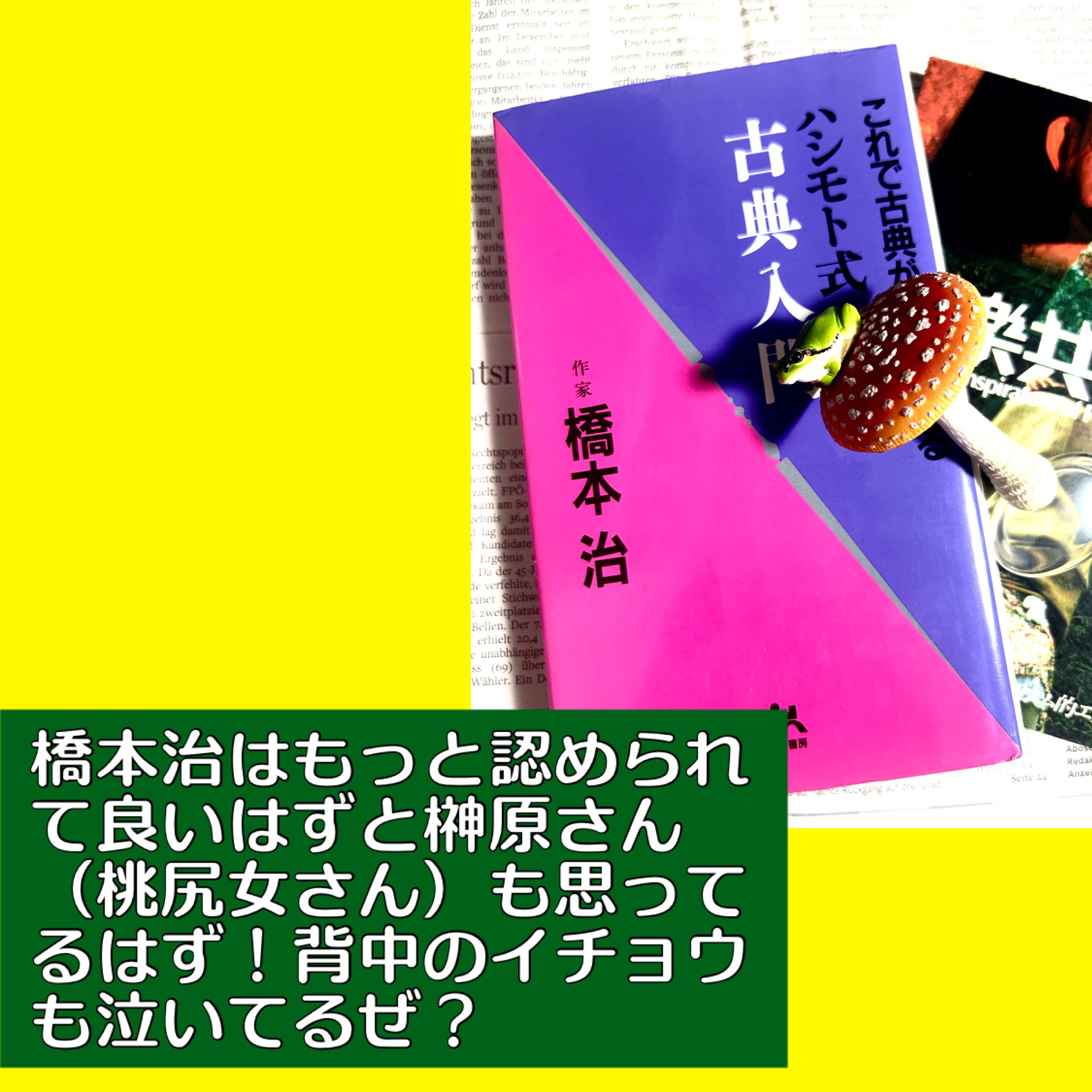 整理してしまっていて唯一手持ちである橋本治の本。桃尻娘くらいは持っていてよかったと今後悔してます。